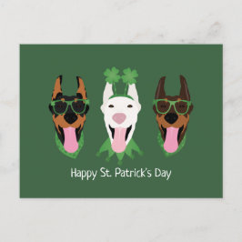 Lycklig St patricks day Dobermann Hundar Vykort