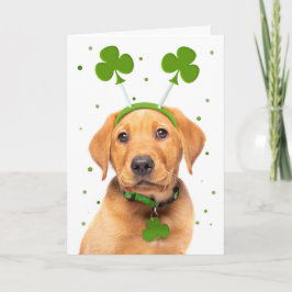Lycklig St patricks day For All Hund in Headband Helgkort