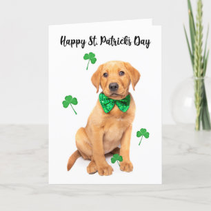 Lycklig St patrick's day för alla Cute Red Fox Lab Helgkort