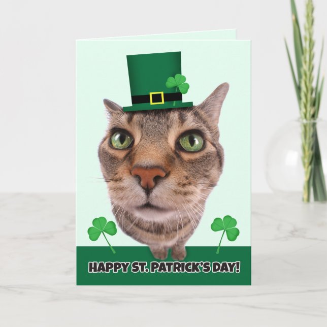 Lycklig St. Patrick's Day for any Cat Humor Helgkort (Framsida)