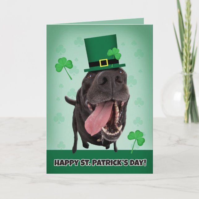 Lycklig St. Patrick's Day for any Dog Humor Helgkort (Framsida)