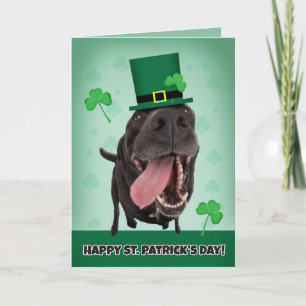 Lycklig St. Patrick's Day for any Dog Humor Helgkort