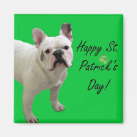 Lycklig St. Patrick's Day Fransk Bulldog magnet