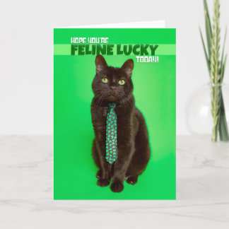 Lycklig St patricks day Funny Cat i Shamrock Helgkort