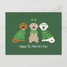 Lycklig St patricks day Golden Retriever Hundar Vykort
