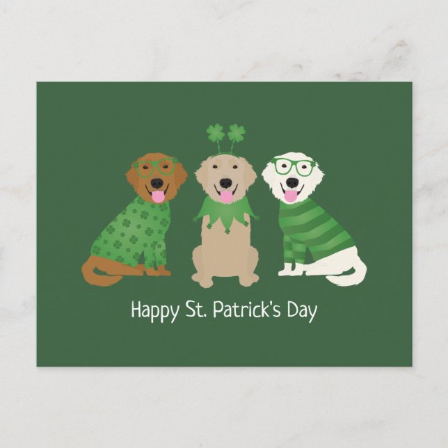 Lycklig St patricks day Golden Retriever Hundar Vykort (Framsida)
