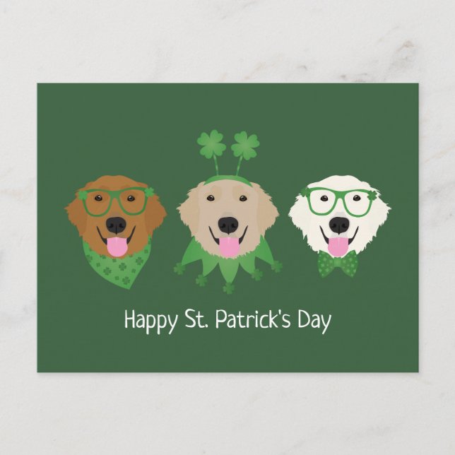 Lycklig St patricks day Golden Retriever Hundar Vykort (Framsida)