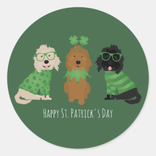 Lycklig St patricks day Goldendoodle Hundar Runt Klistermärke