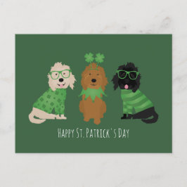 Lycklig St patricks day Goldendoodle Hundar Vykort