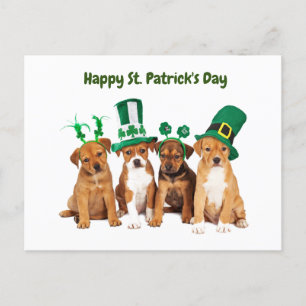 Lycklig St. Patrick's Day hundar Helg Vykort