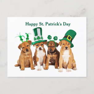 Lycklig St. Patrick's Day Hundar vykort