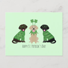 Lycklig St patricks day Labrador Retriever Hundar Vykort