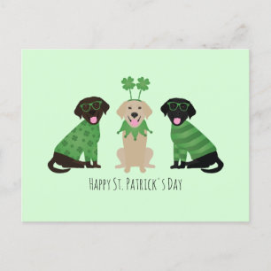 Lycklig St patricks day Labrador Retriever Hundar Vykort