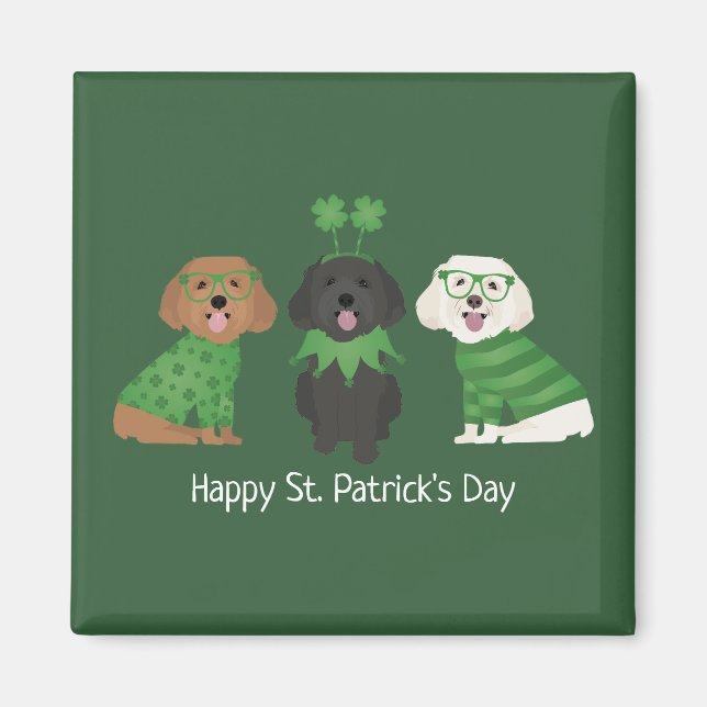 Lycklig St patricks day Maltipoo Hundar Magnet (Framsidan)
