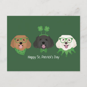 Lycklig St patricks day Maltipoo Hundar Vykort