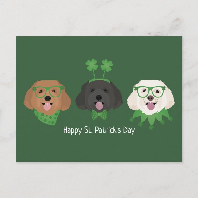 Lycklig St patricks day Maltipoo Hundar Vykort (Framsida)