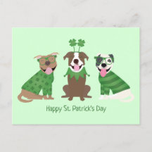 Lycklig St patricks day Pit Bull Dogs