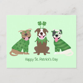 Lycklig St patricks day Pit Bull Dogs Vykort