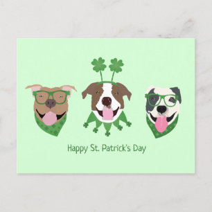Lycklig St patricks day Pit Bull Dogs Vykort