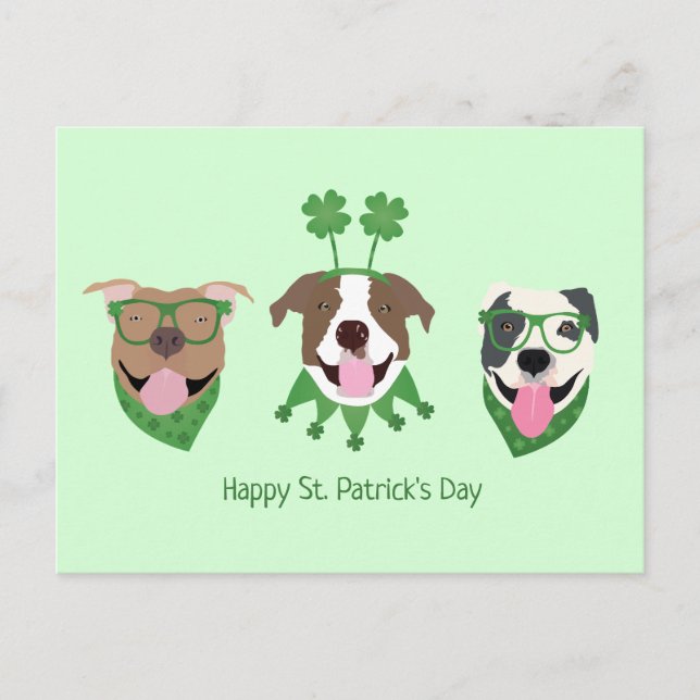 Lycklig St patricks day Pit Bull Dogs Vykort (Framsida)