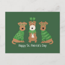 Lycklig St patricks day Welsh Wire Fox Terrier Hun