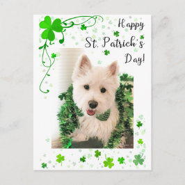 Lycklig St. Patrick's Day, Westie Hund är Redot Vykort