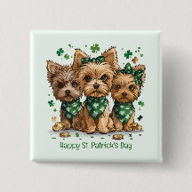 Lycklig St. Patrick's Day Yorkshire Terrier Hundar