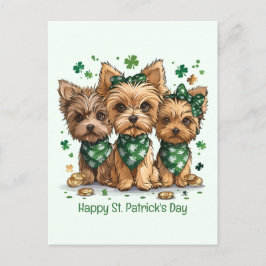 Lycklig St. Patrick's Day Yorkshire Terrier Hundar Vykort