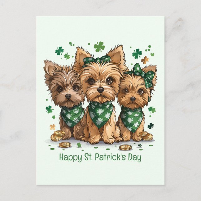 Lycklig St. Patrick's Day Yorkshire Terrier Hundar Vykort (Framsida)