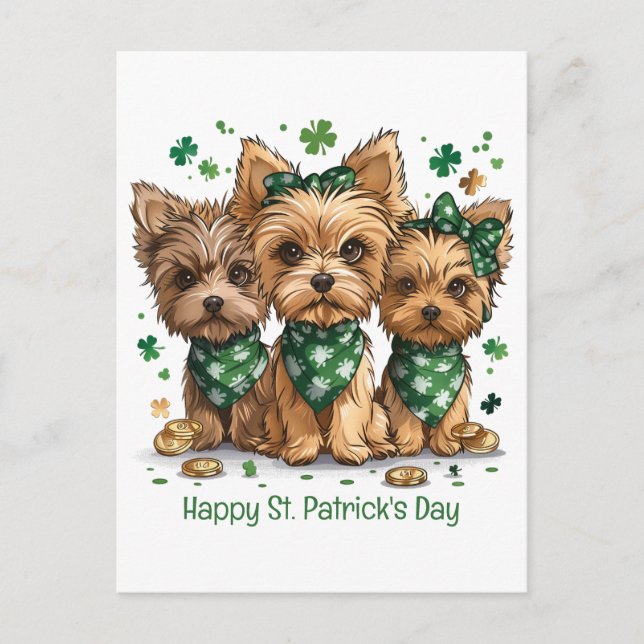Lycklig St. Patrick's Day Yorkshire Terrier Hundar Vykort (Framsida)