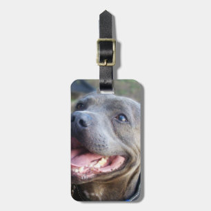 Lycklig Stafford Bull Terrier Bagagebricka