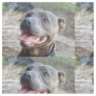 Lycklig Stafford Bull Terrier Tyg