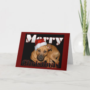 Lycklig Staffy jul Helgkort