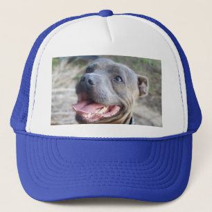 Lycklig Stbudsdshire Bull Terrier, Hat Keps