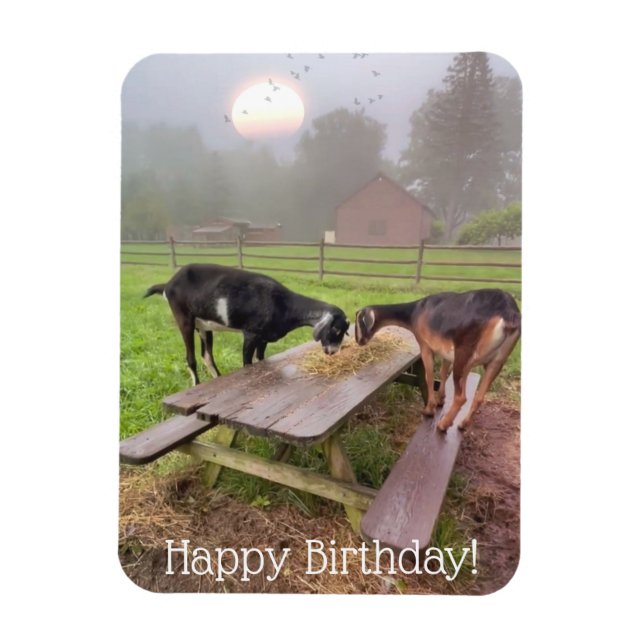 Lycklig Sunset Goats Birthday Magnet (Vertikal)