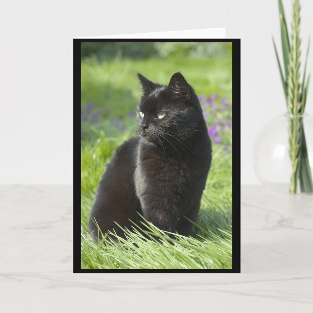 Lycklig svart katt kort (Framsida)