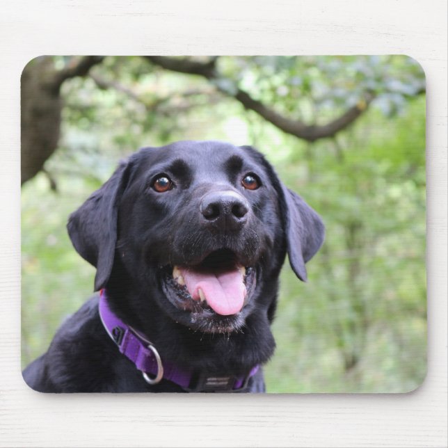 Lycklig svart Labrador Musmatta (Framsidan)