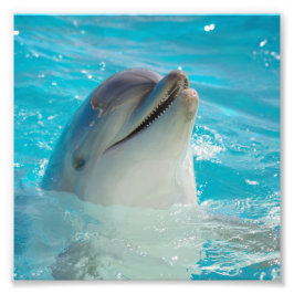 Lycklig Swimming Dolphin Fototryck