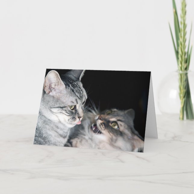 Lycklig Syskon-dagen! Kort (Framsida)