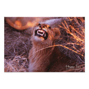 Lycklig Tau Fototryck