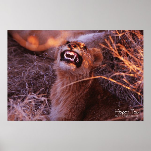 Lycklig Tau, leende Lejona Unge Poster (Framsidan)