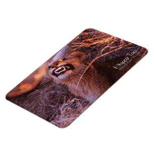 Lycklig Tau Magnet