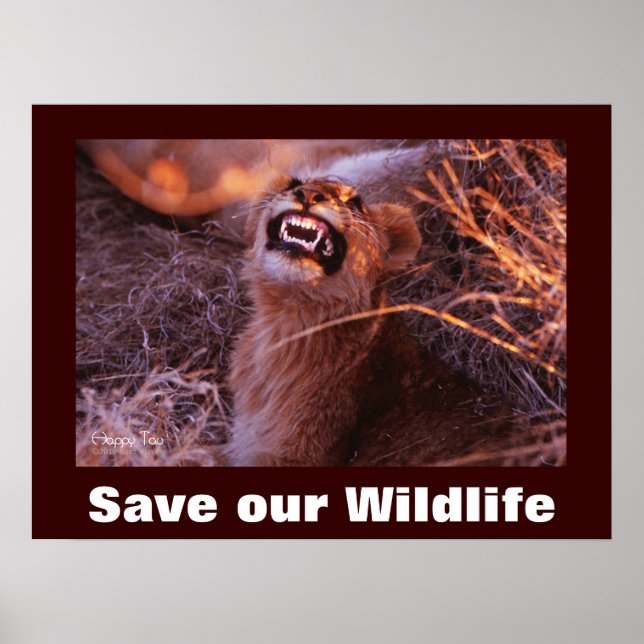 Lycklig Tau Spara Vår Wildlife Poster (Framsidan)