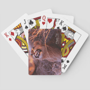 Lycklig Tau Spel Kort