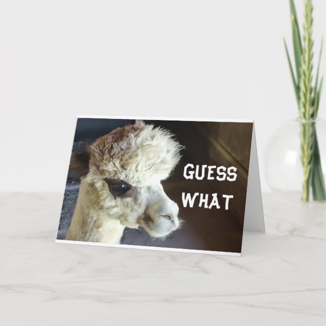 LYCKLIG *THANKSGIVING* SAY LLAMA KORT (Framsida)