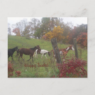 Lycklig Trails! Vykort