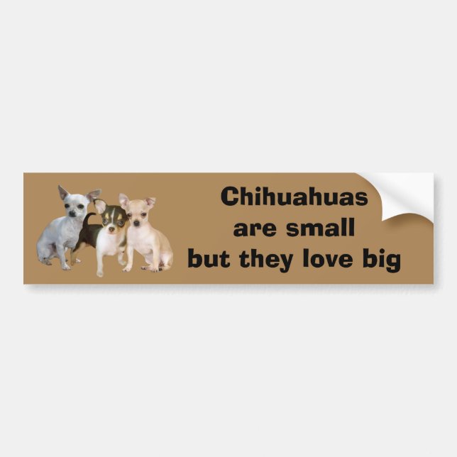 Lycklig Triobildekal för Chihuahua Bildekal (Framsidan)