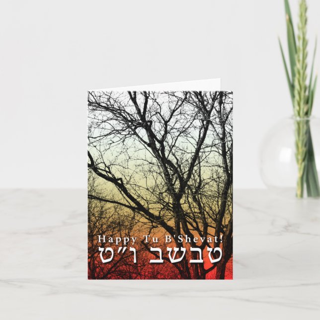 Lycklig Tu B'Shevat! Judisk axeldag Kort (Framsida)