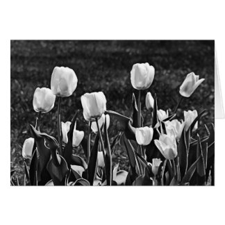 Lycklig Tulips Black and White Hälsningskort