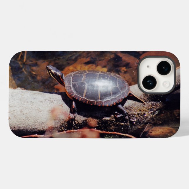 Lycklig Turtle (Baksida (horisontell))
